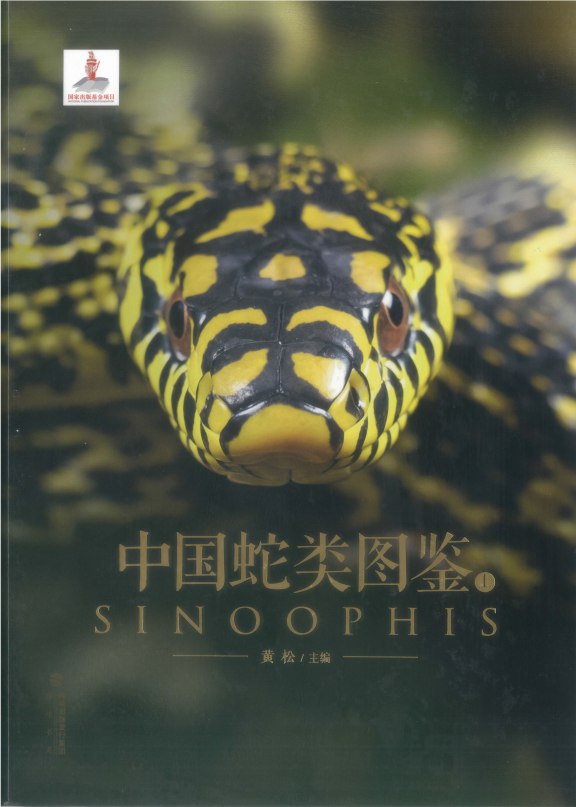 中国蛇类图鉴上下册 中国野生蛇类245种[pdf]-书籍-学习资料-电子书夸克网盘资源分享