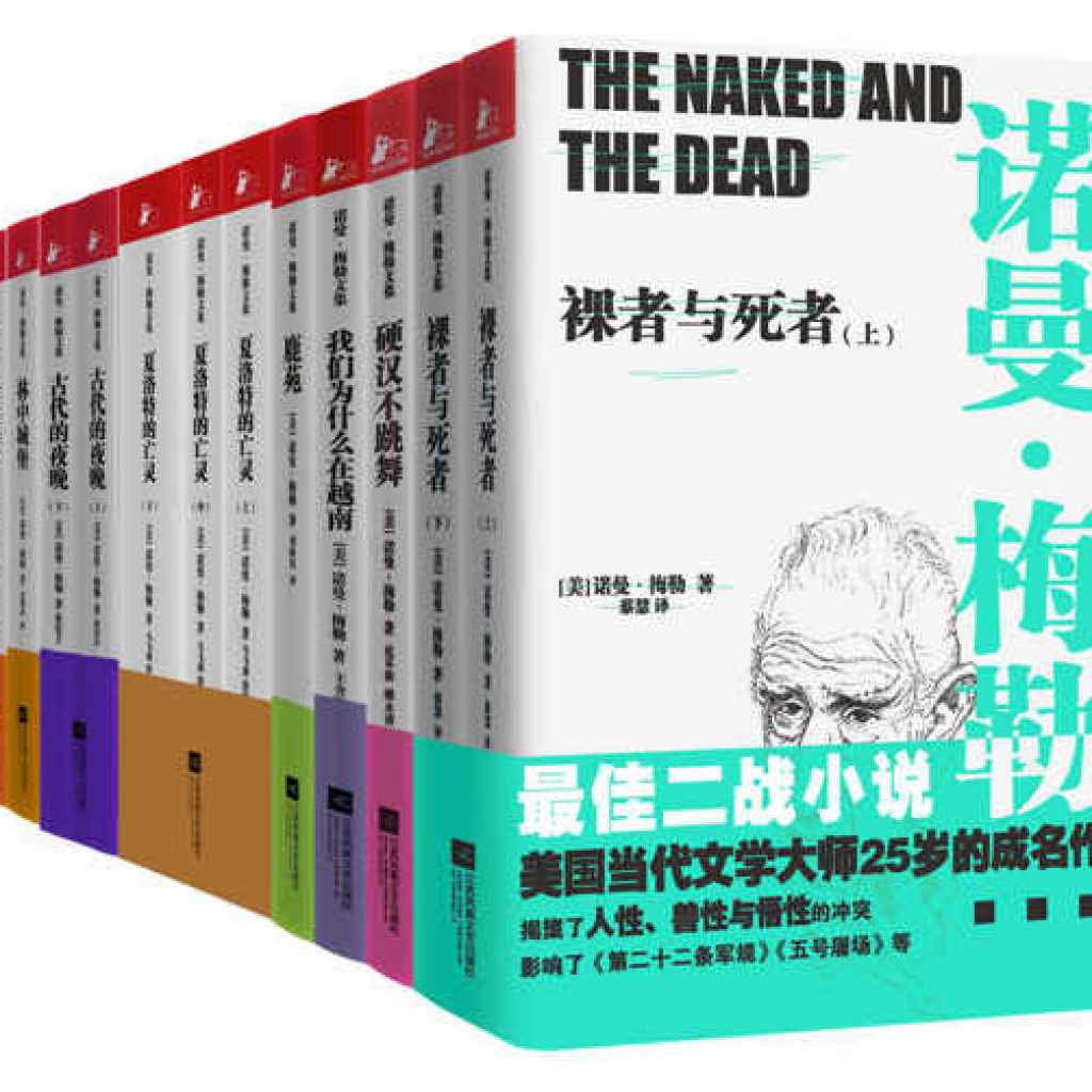 诺曼·梅勒文集套装共9册[pdf]-书籍-学习资料-电子书夸克网盘资源分享