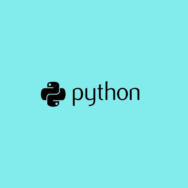 Python基础训练营(完结)-书籍-学习资料-电子书夸克网盘资源分享