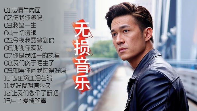 华语男声经典伤感歌曲无损合集-书籍-学习资料-电子书夸克网盘资源分享