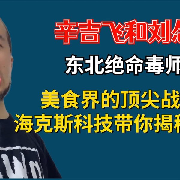 辛吉飞视频合集-书籍-学习资料-电子书夸克网盘资源分享