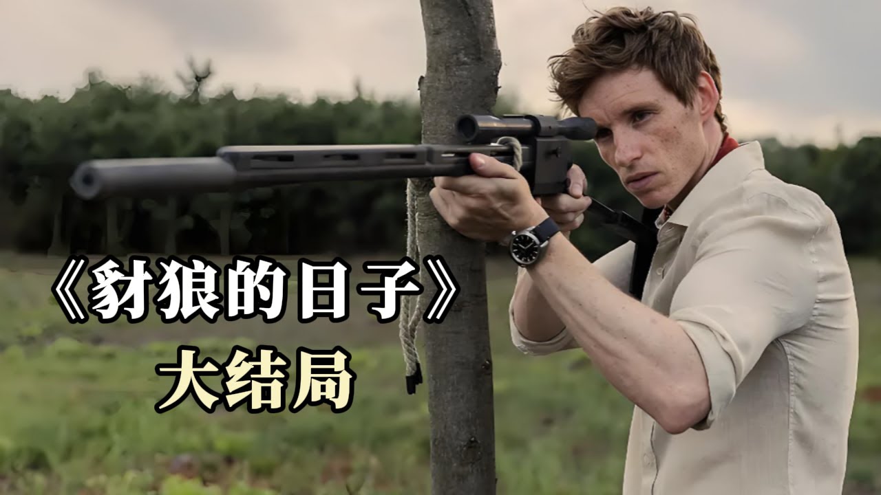 豺狼的日子 10集已完结-书籍-学习资料-电子书夸克网盘资源分享