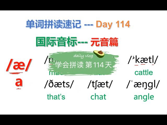 叶老师英语 国际音标拼读（40课时）(1)-书籍-学习资料-电子书夸克网盘资源分享