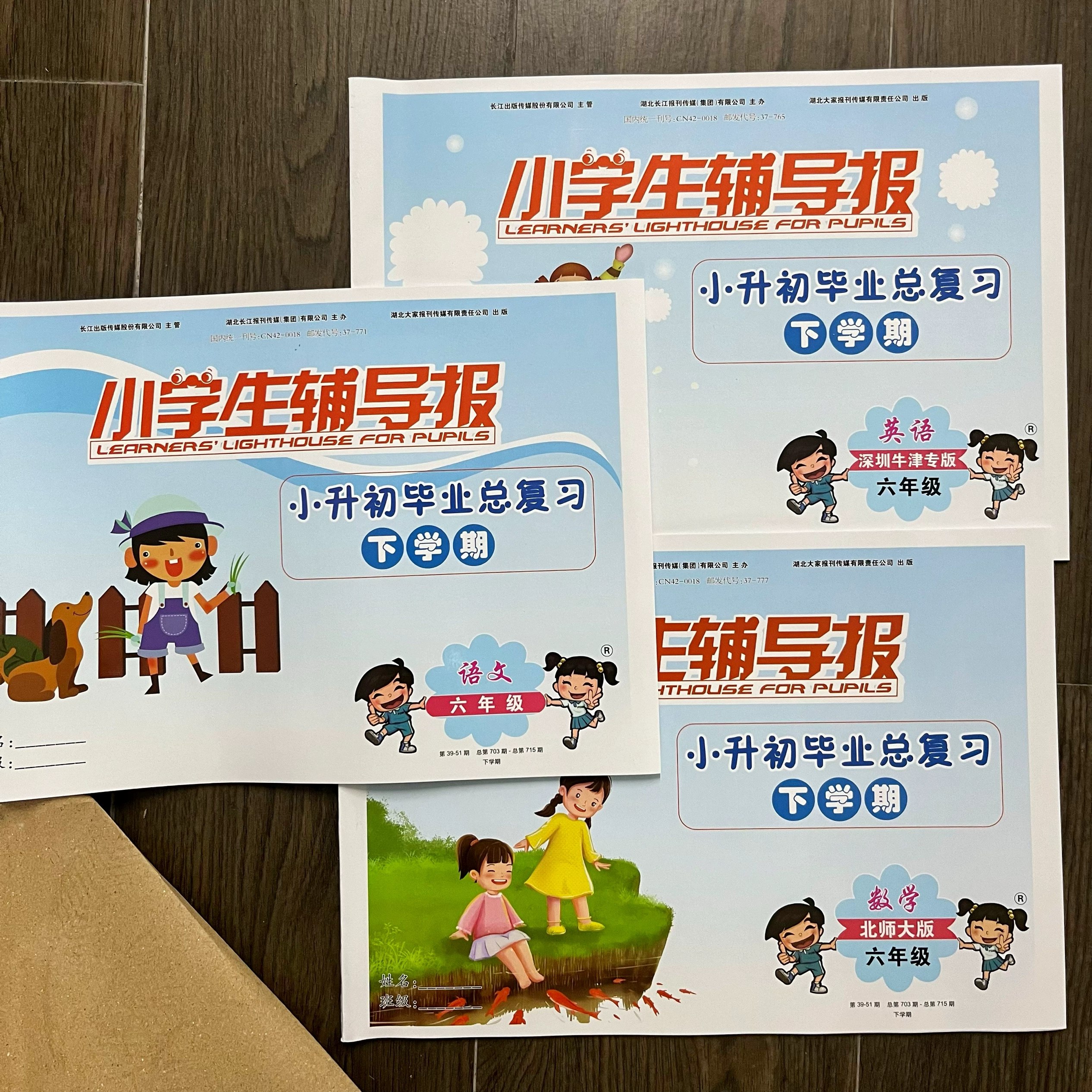 小升初教研室调研卷（语 数 英）-书籍-学习资料-电子书夸克网盘资源分享