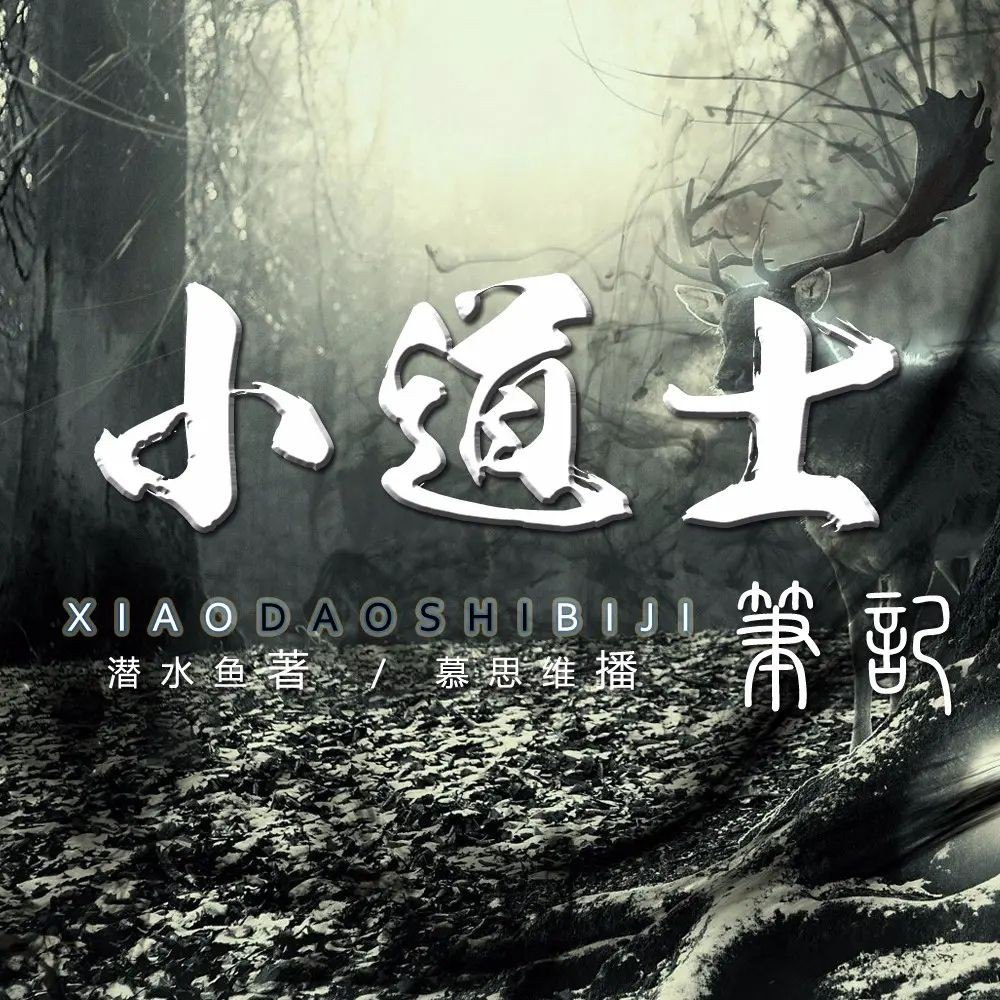 小道士笔记著:潜水鱼1417集完-书籍-学习资料-电子书夸克网盘资源分享