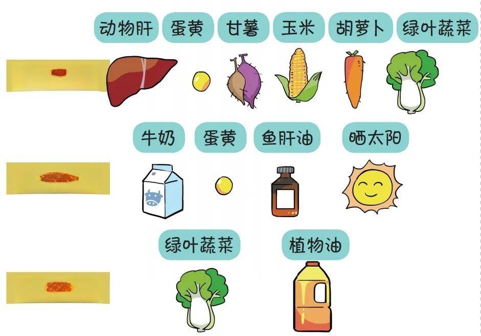 维生素与健康-书籍-学习资料-电子书夸克网盘资源分享