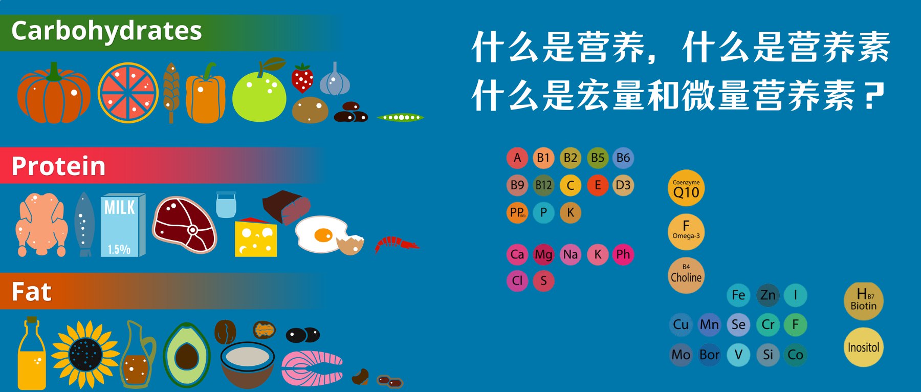 微量营养素食物强化指南-书籍-学习资料-电子书夸克网盘资源分享