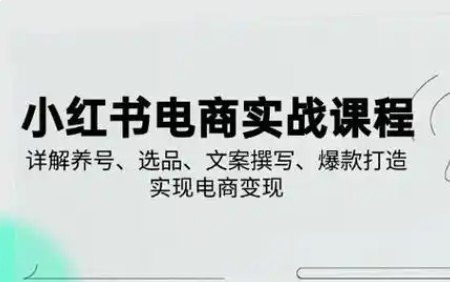 戴小胖小红书电商实操课-书籍-学习资料-电子书夸克网盘资源分享