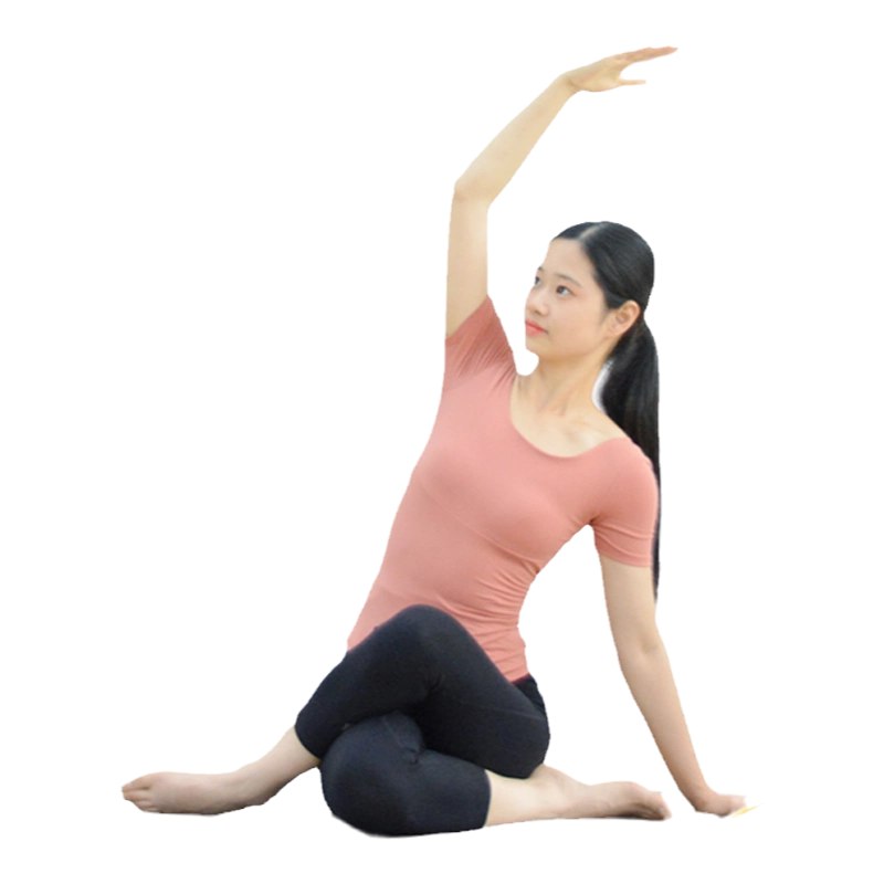 身体调理瑜伽专业课程-书籍-学习资料-电子书夸克网盘资源分享