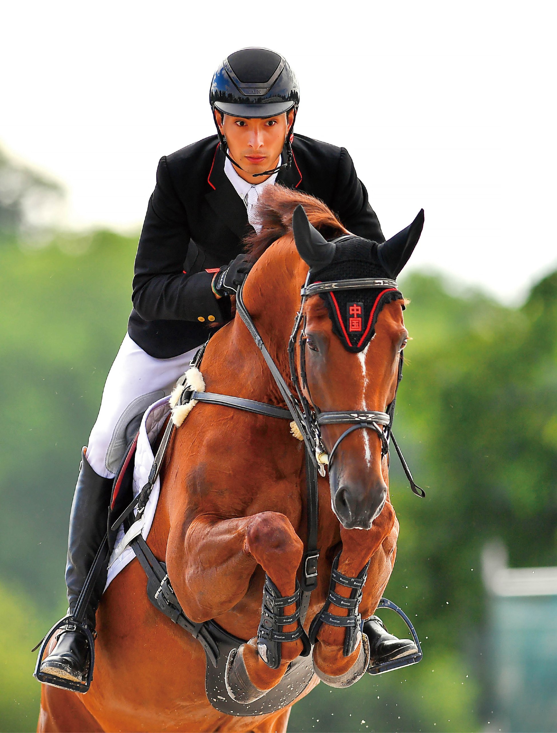 加州大学洛杉矶分校公开课:家庭与夫妇心理学-亲密的关系-书籍-学习资料-电子书夸克网盘资源分享