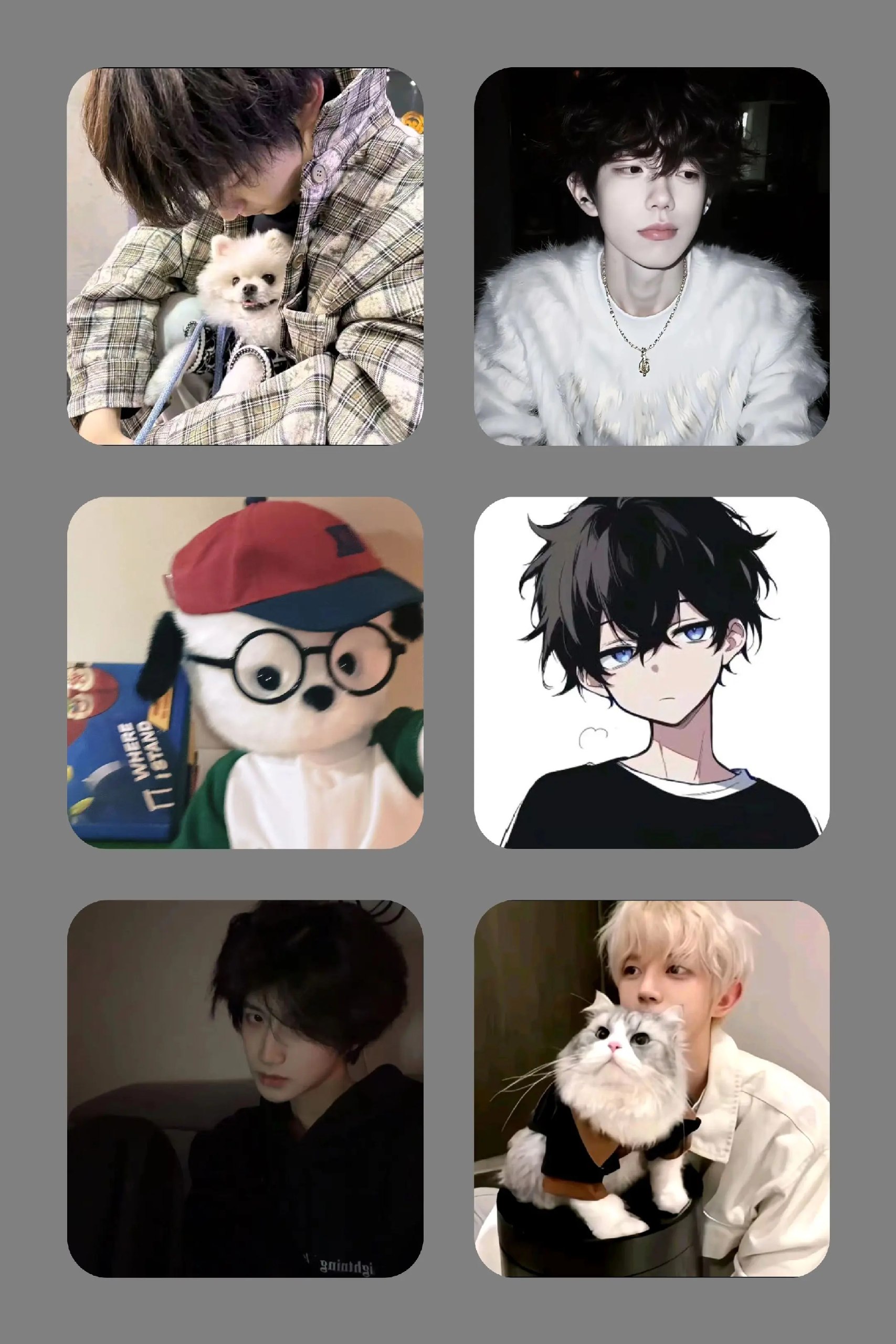 少年新知2025-书籍-学习资料-电子书夸克网盘资源分享