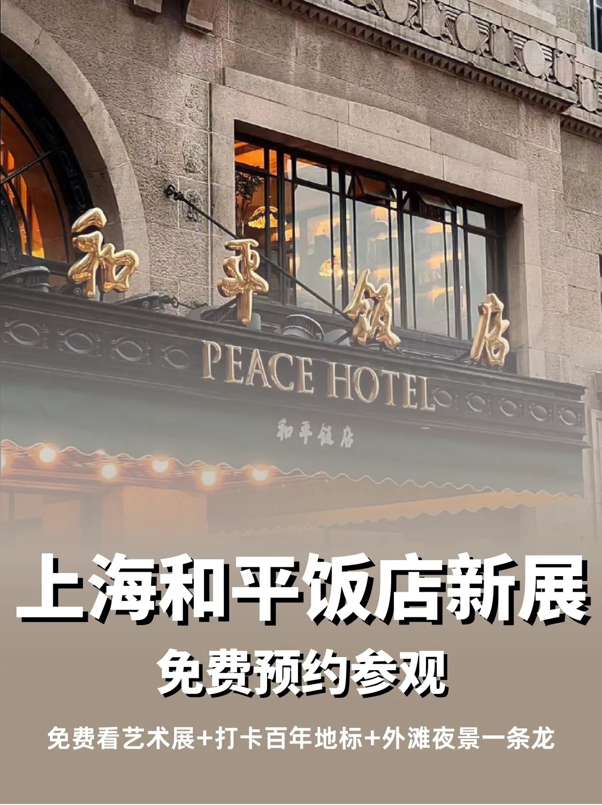 2025秋少年素质报15天满分备考小学系列（语数英）-书籍-学习资料-电子书夸克网盘资源分享