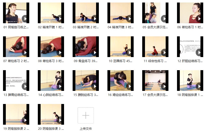 景瑶阴瑜伽初级精进教培20课-书籍-学习资料-电子书夸克网盘资源分享