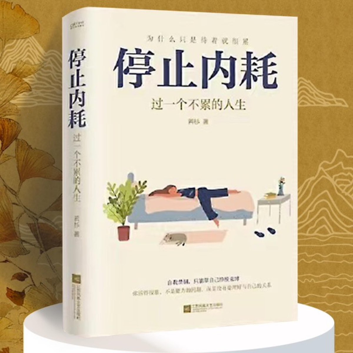 停止内耗：过一个不累的人生｜不苛求自己，也别要求别人，活出自己的欢喜人生，重新掌控自己的生活-书籍-学习资料-电子书夸克网盘资源分享