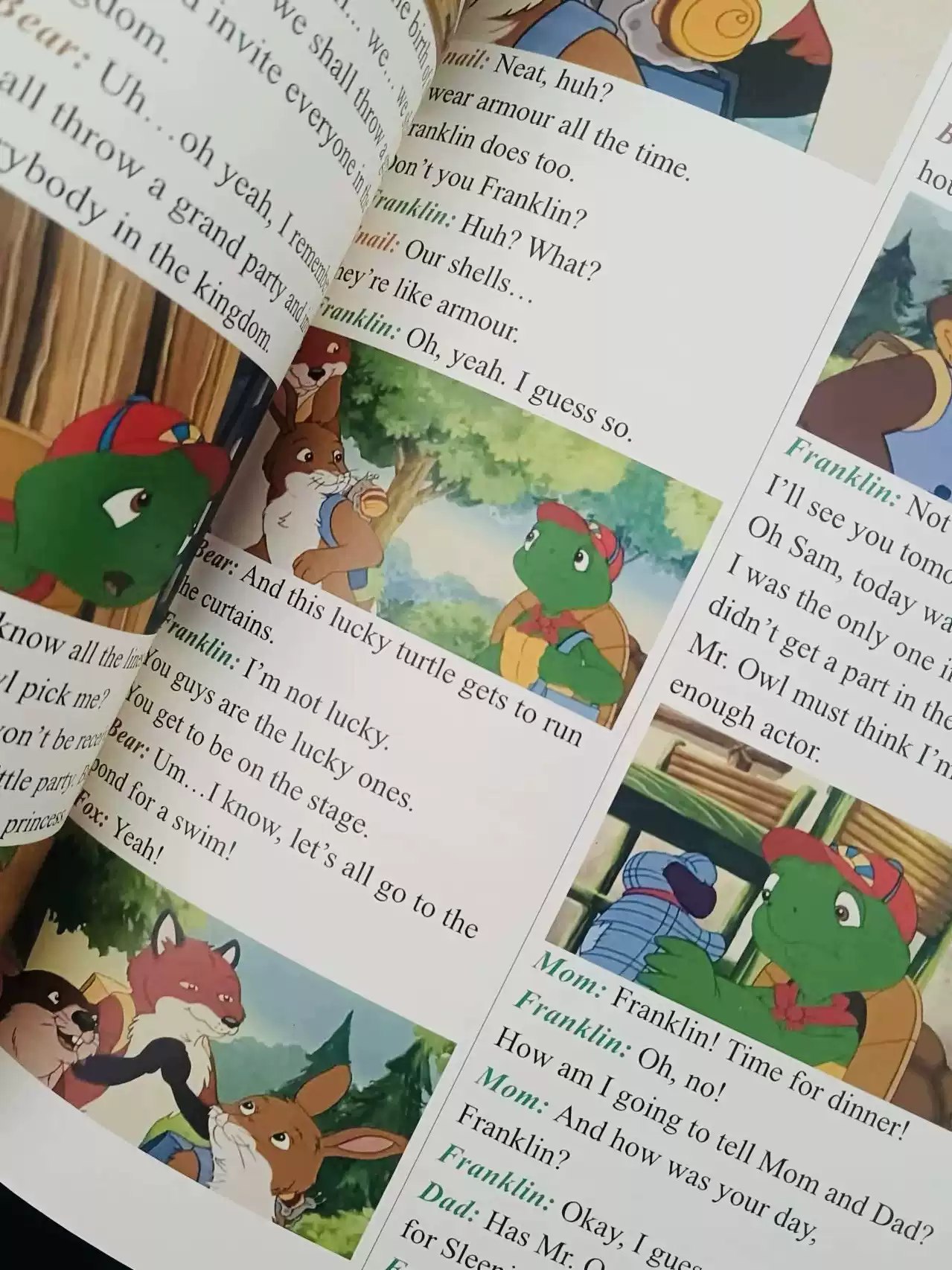 加拿大儿童国宝级童书小乌龟富兰克林 Franklin the Turtle (电子书+音频+动画)-书籍-学习资料-电子书夸克网盘资源分享