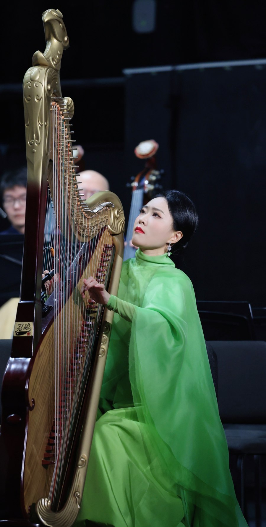 流行声乐必修从小白到歌手-书籍-学习资料-电子书夸克网盘资源分享