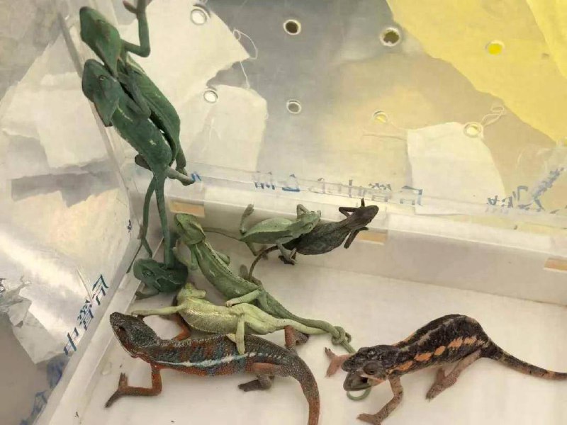 筑龙网零基础水暖电安装造价速成班（转行必备+实操案例）-书籍-学习资料-电子书夸克网盘资源分享