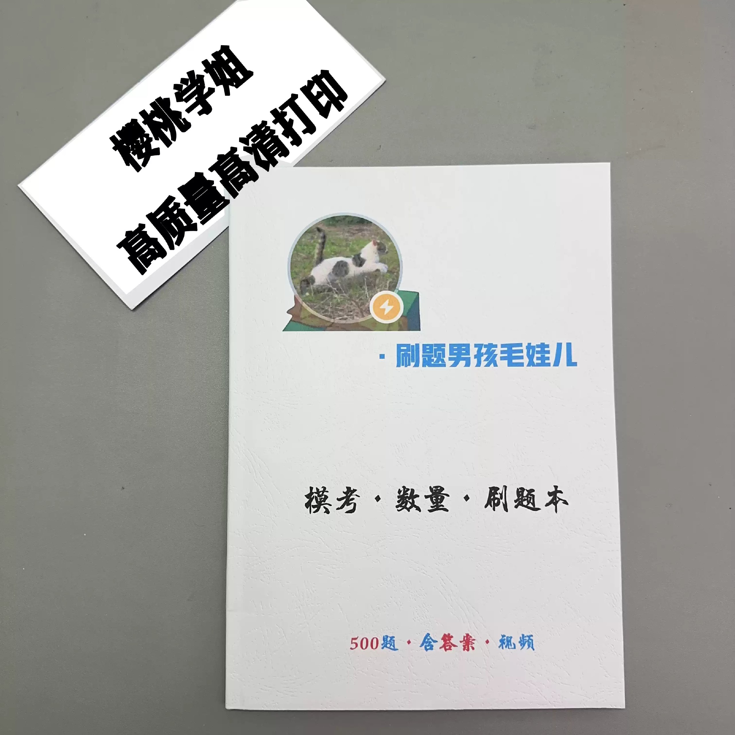 幼儿+小学+中学教资笔试历年真题-书籍-学习资料-电子书夸克网盘资源分享