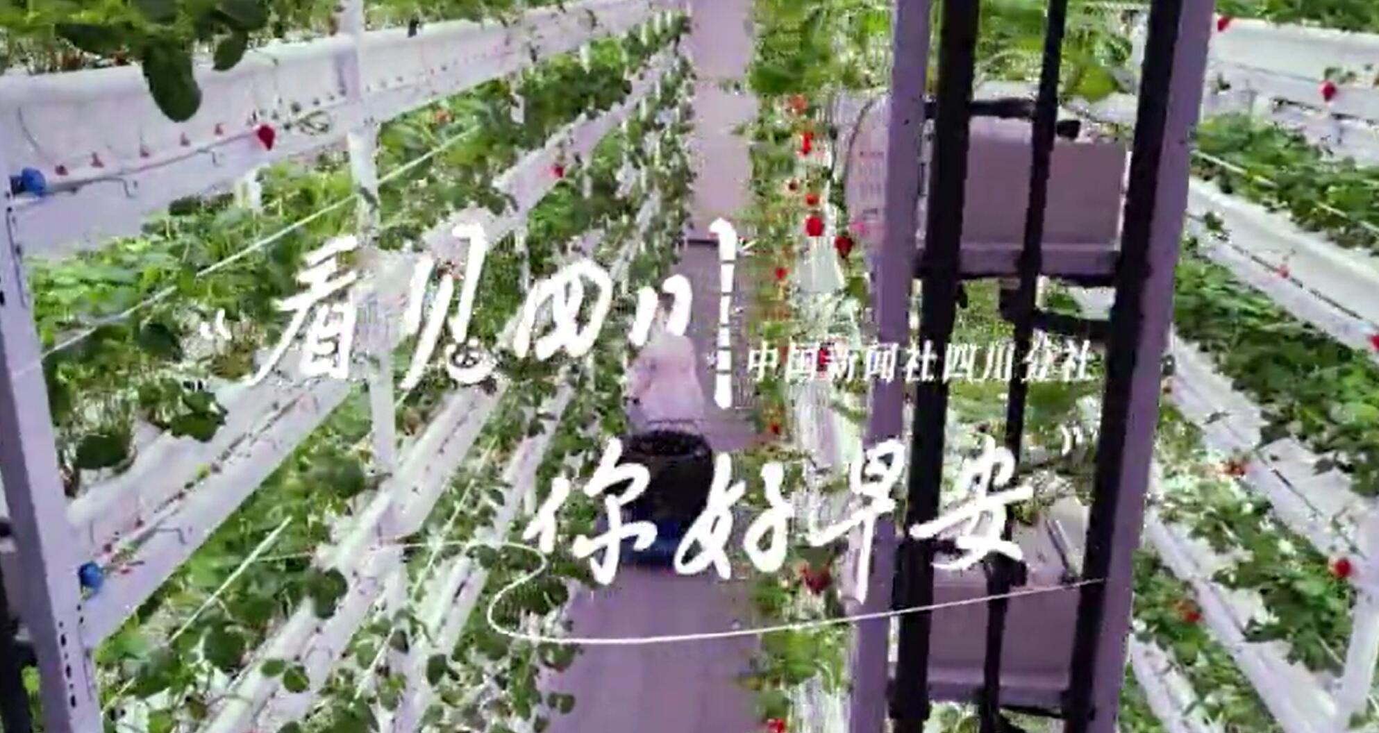 摄影的灵感微距;70幅绝妙的微距摄影佳作-书籍-学习资料-电子书夸克网盘资源分享