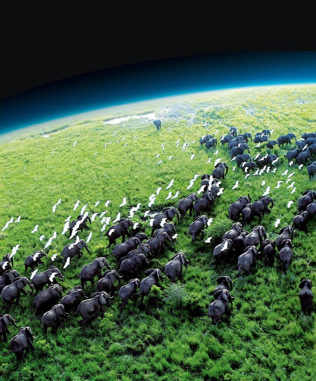 人类迁徙-书籍-学习资料-电子书夸克网盘资源分享