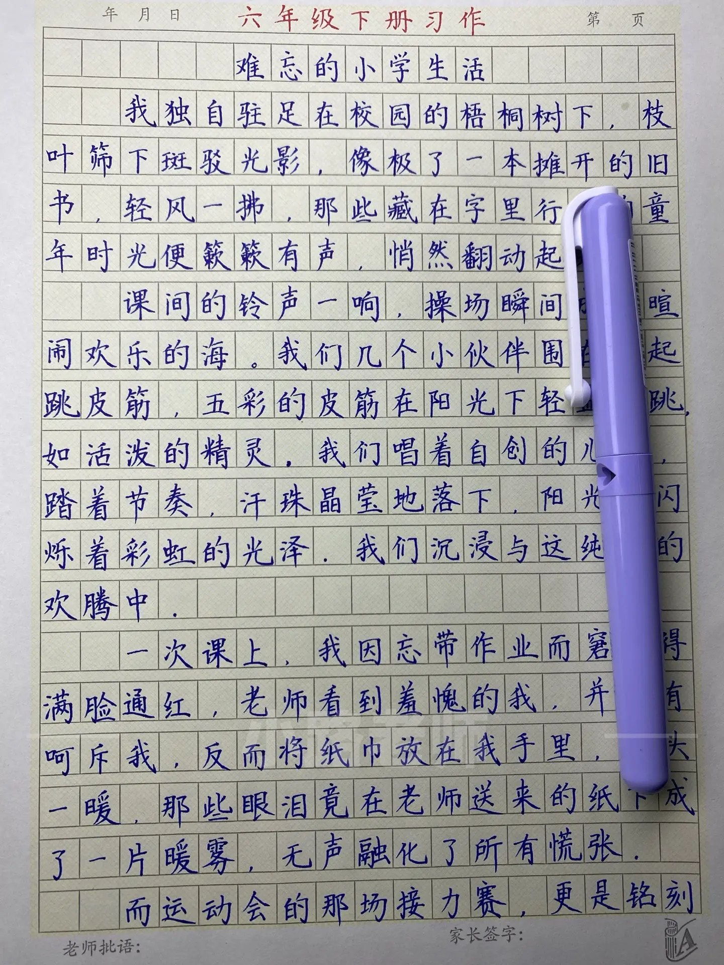 小学写作课程合集-书籍-学习资料-电子书夸克网盘资源分享