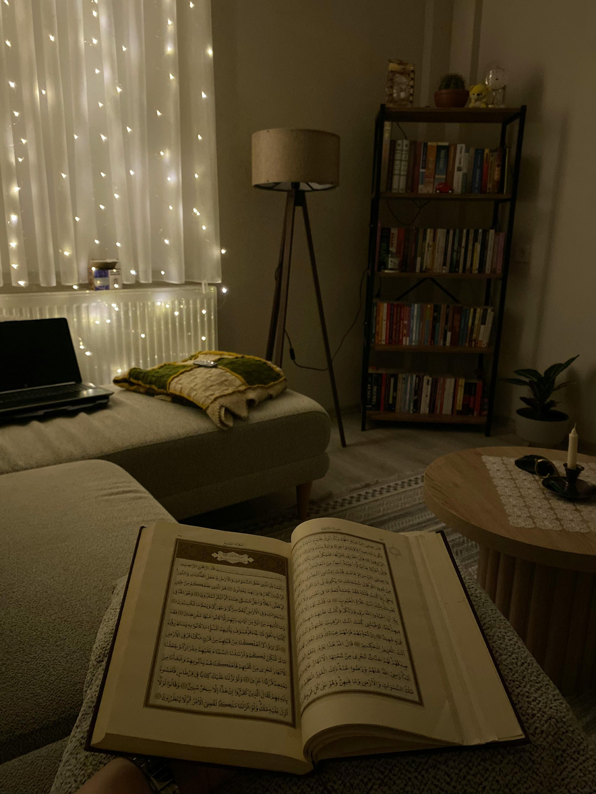 财经-书籍-学习资料-电子书夸克网盘资源分享