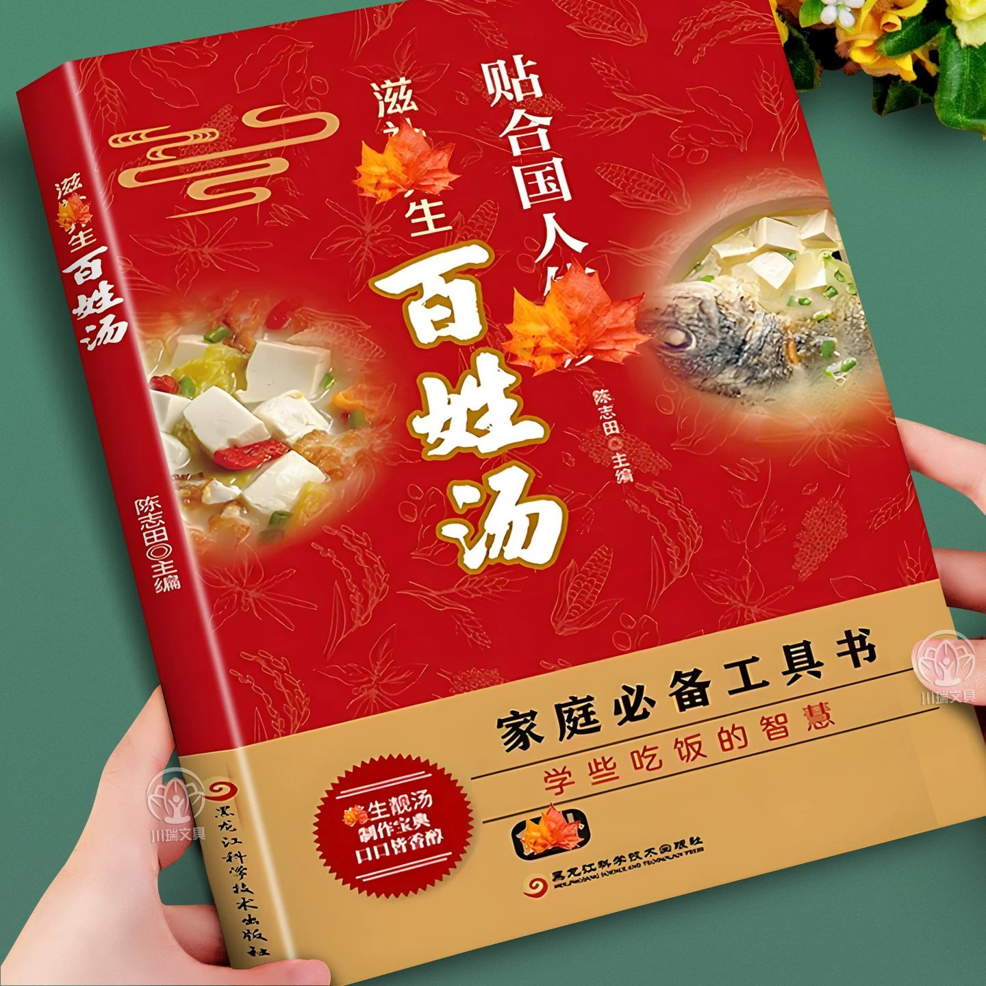 家庭实用菜谱大全-书籍-学习资料-电子书夸克网盘资源分享