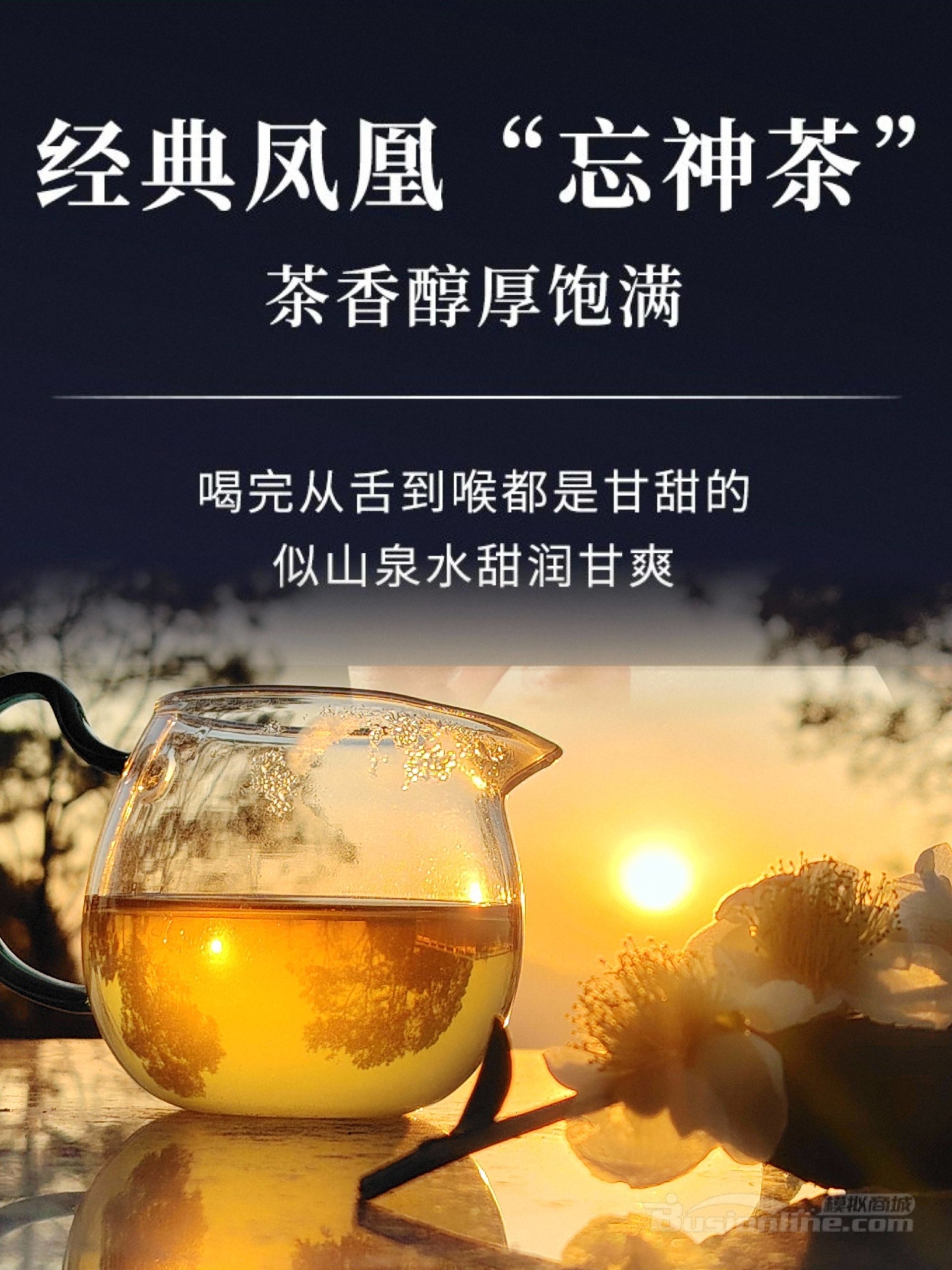 从科学到哲学系列套装（15册）-书籍-学习资料-电子书夸克网盘资源分享