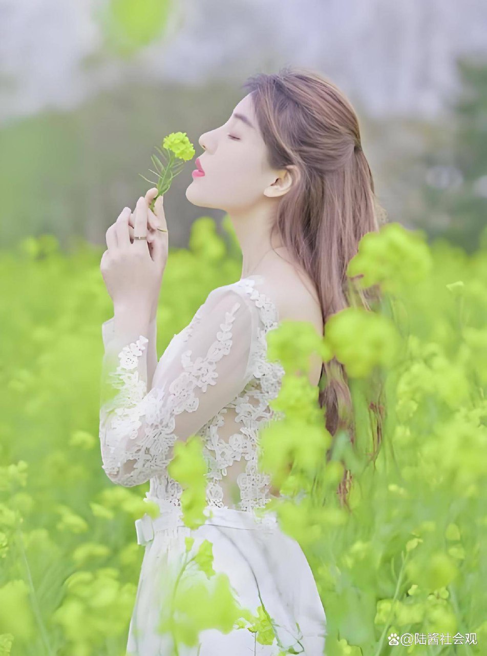 女性卫生用品的社会史-书籍-学习资料-电子书夸克网盘资源分享