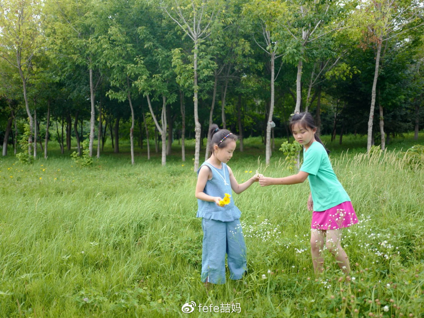 教孩子学会社交和情绪管理，儿童社交情绪教育启蒙课程-书籍-学习资料-电子书夸克网盘资源分享
