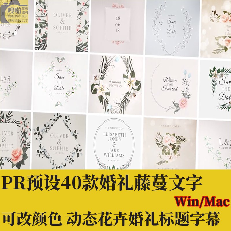 PR模板40种浪漫藤蔓婚礼文字标题动画-书籍-学习资料-电子书夸克网盘资源分享