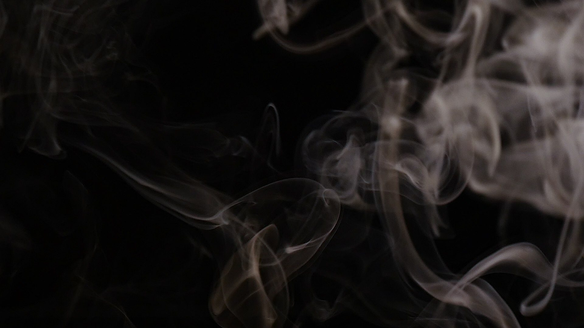 PR模板漂亮优雅魔法粒子动画文字标题开场片头-书籍-学习资料-电子书夸克网盘资源分享