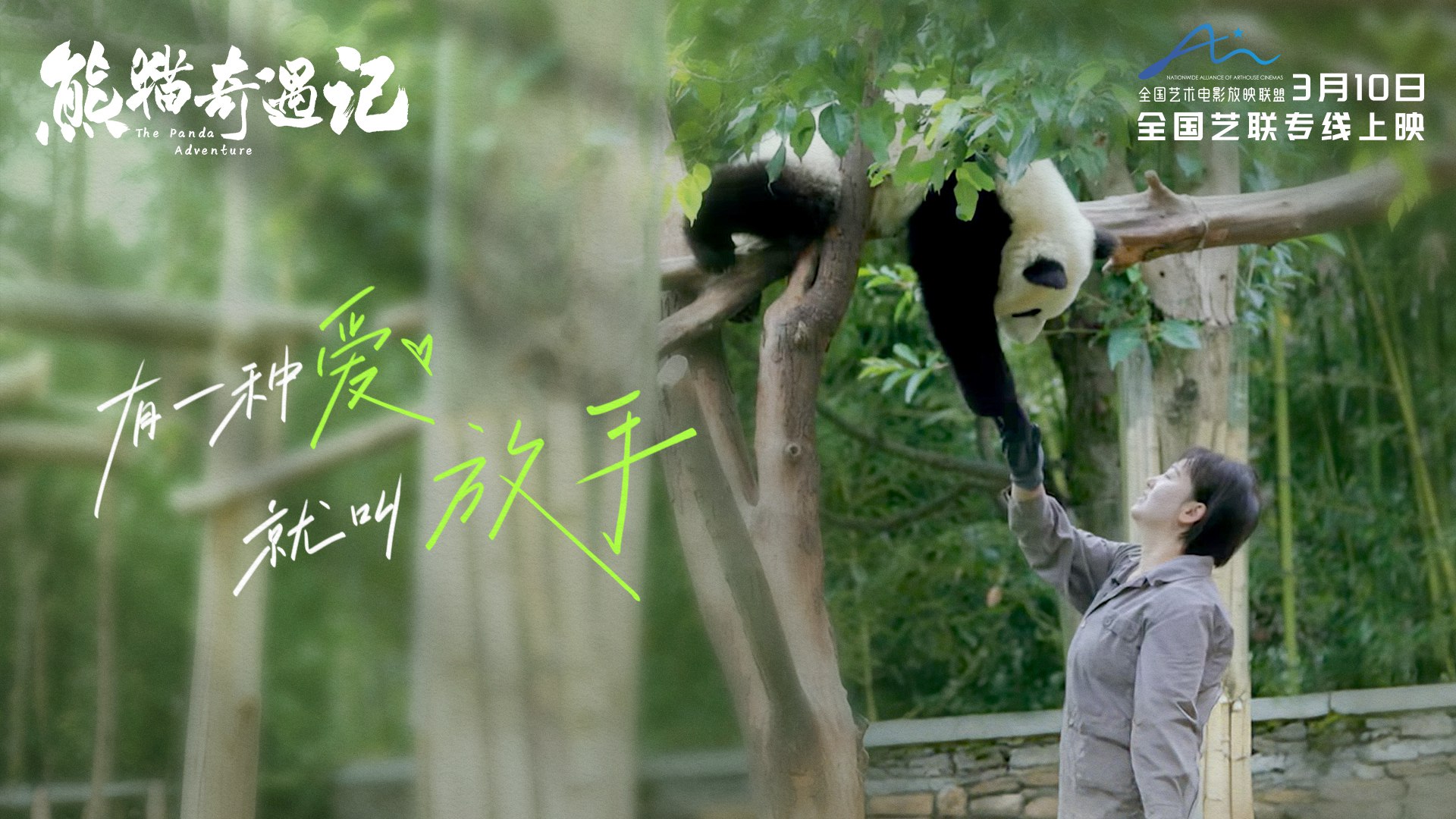 北京大学生物演化-书籍-学习资料-电子书夸克网盘资源分享