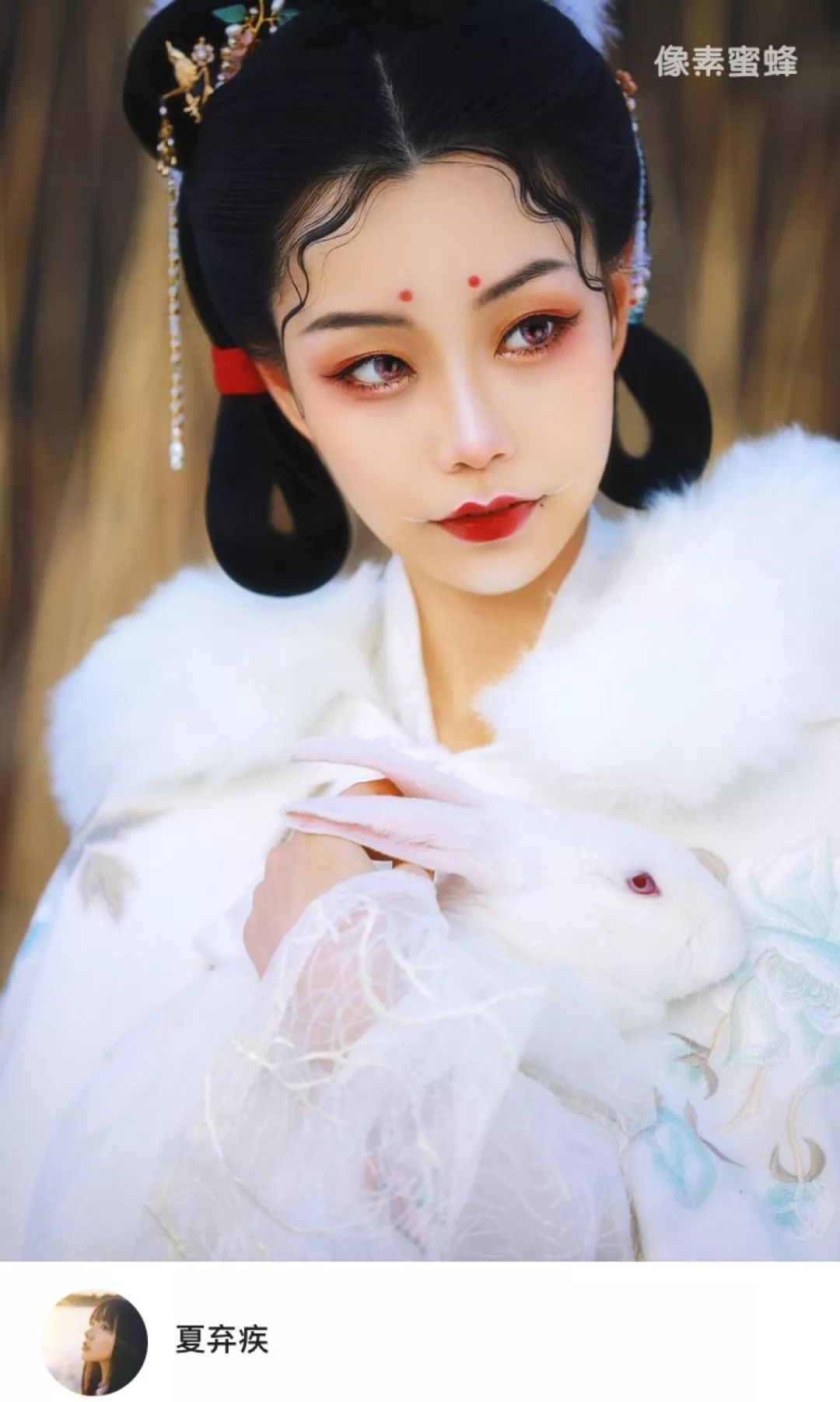 跟全球iPhone摄影大赛“年度最佳摄影师”学手机摄影-书籍-学习资料-电子书夸克网盘资源分享