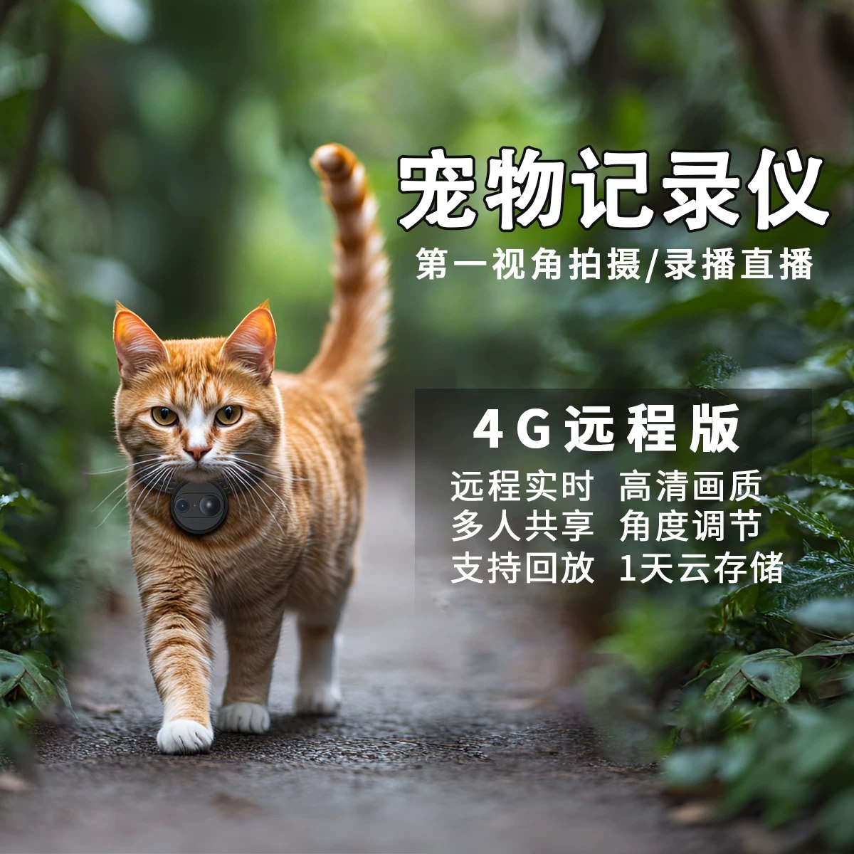 猫的树摄影课程-书籍-学习资料-电子书夸克网盘资源分享