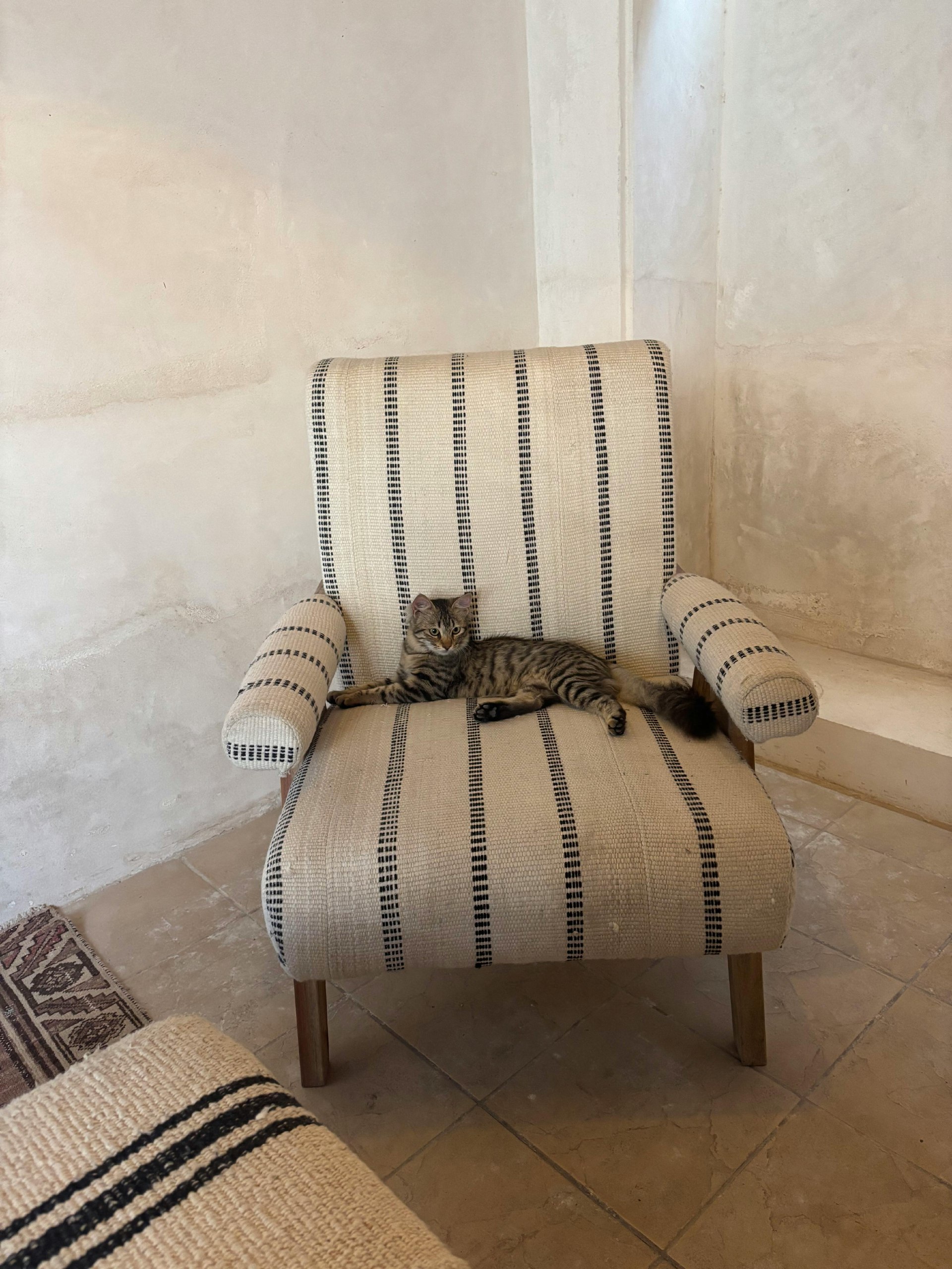 小滴课堂微服务架构-海量数据商用短链平台项目大课【完结】-书籍-学习资料-电子书夸克网盘资源分享