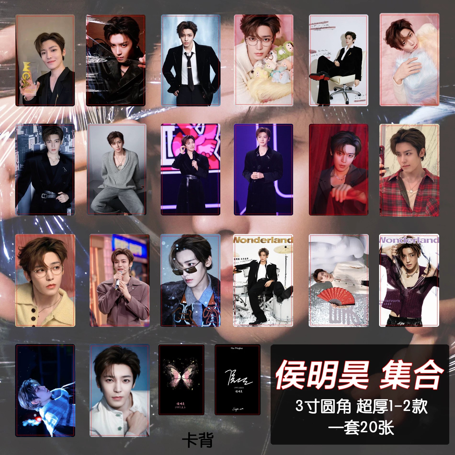 上海六下新教材预习大礼包-书籍-学习资料-电子书夸克网盘资源分享