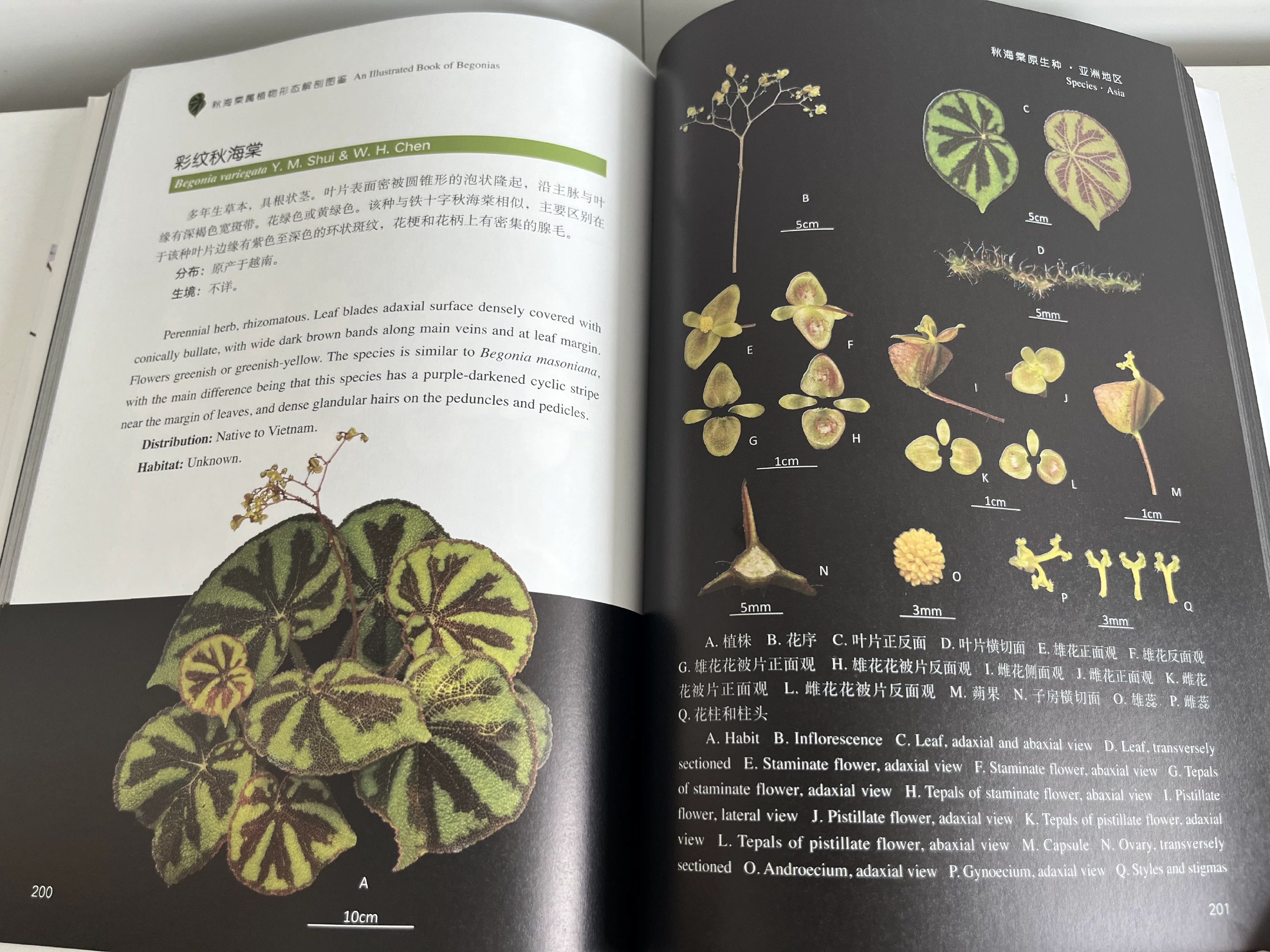 全程图解电工维修技法｜实操维修图解版-书籍-学习资料-电子书夸克网盘资源分享