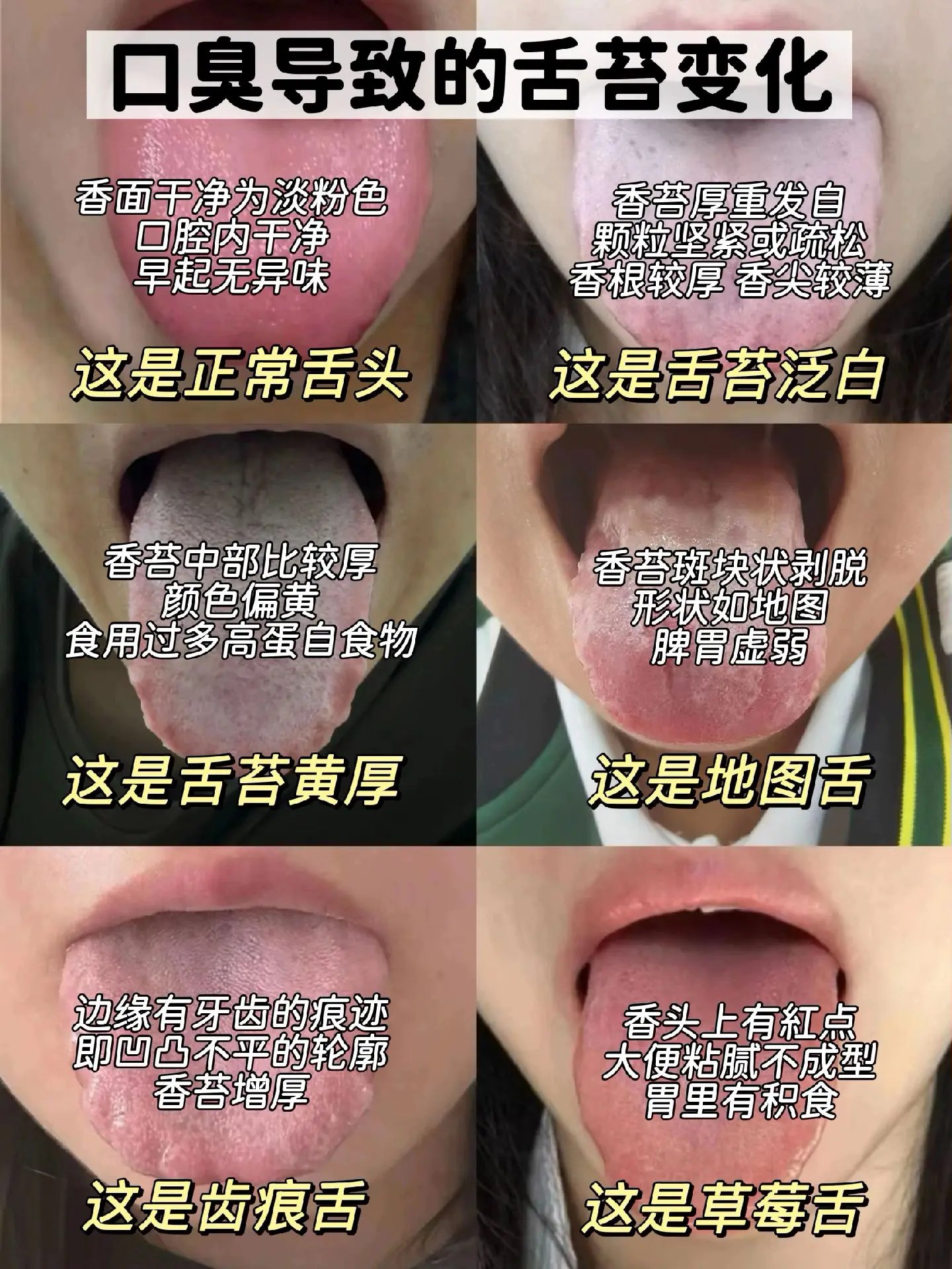 零基础学中医训练营（完结）-书籍-学习资料-电子书夸克网盘资源分享