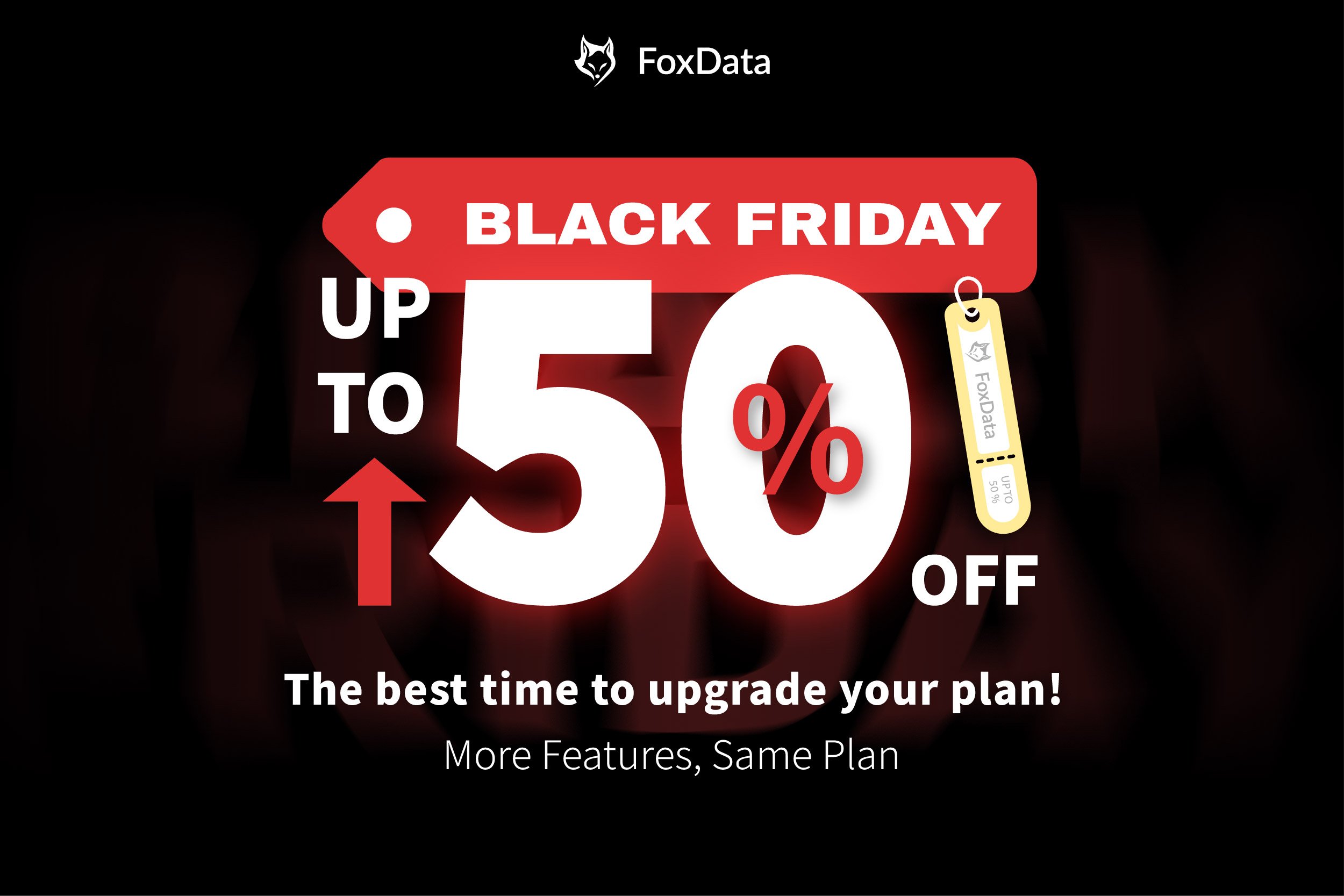 唐-诗·宋词鉴赏辞典-书籍-学习资料-电子书夸克网盘资源分享