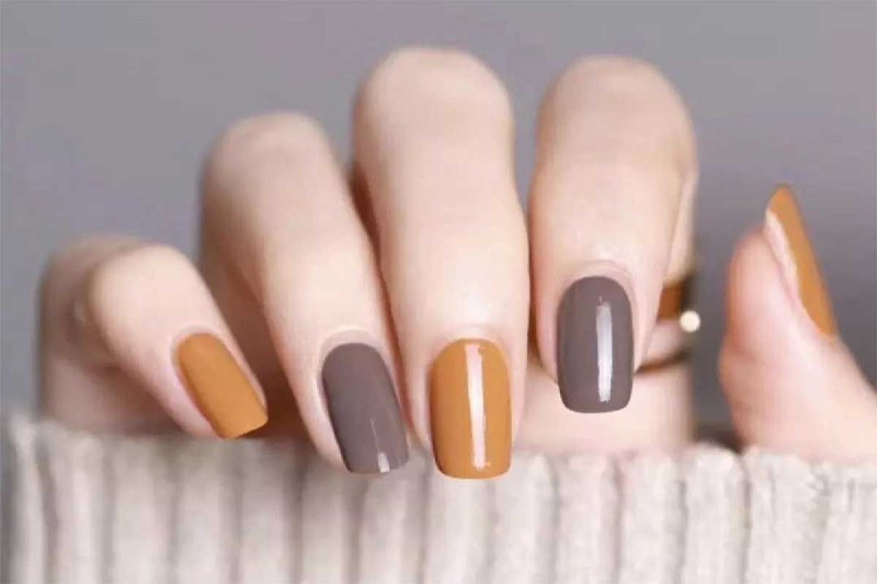 美甲详细基础课从基础到考证-书籍-学习资料-电子书夸克网盘资源分享