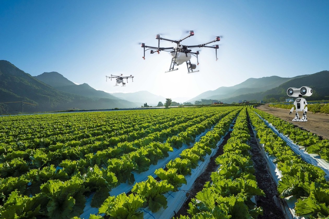 早教必备美吉姆欢动300首打包-书籍-学习资料-电子书夸克网盘资源分享