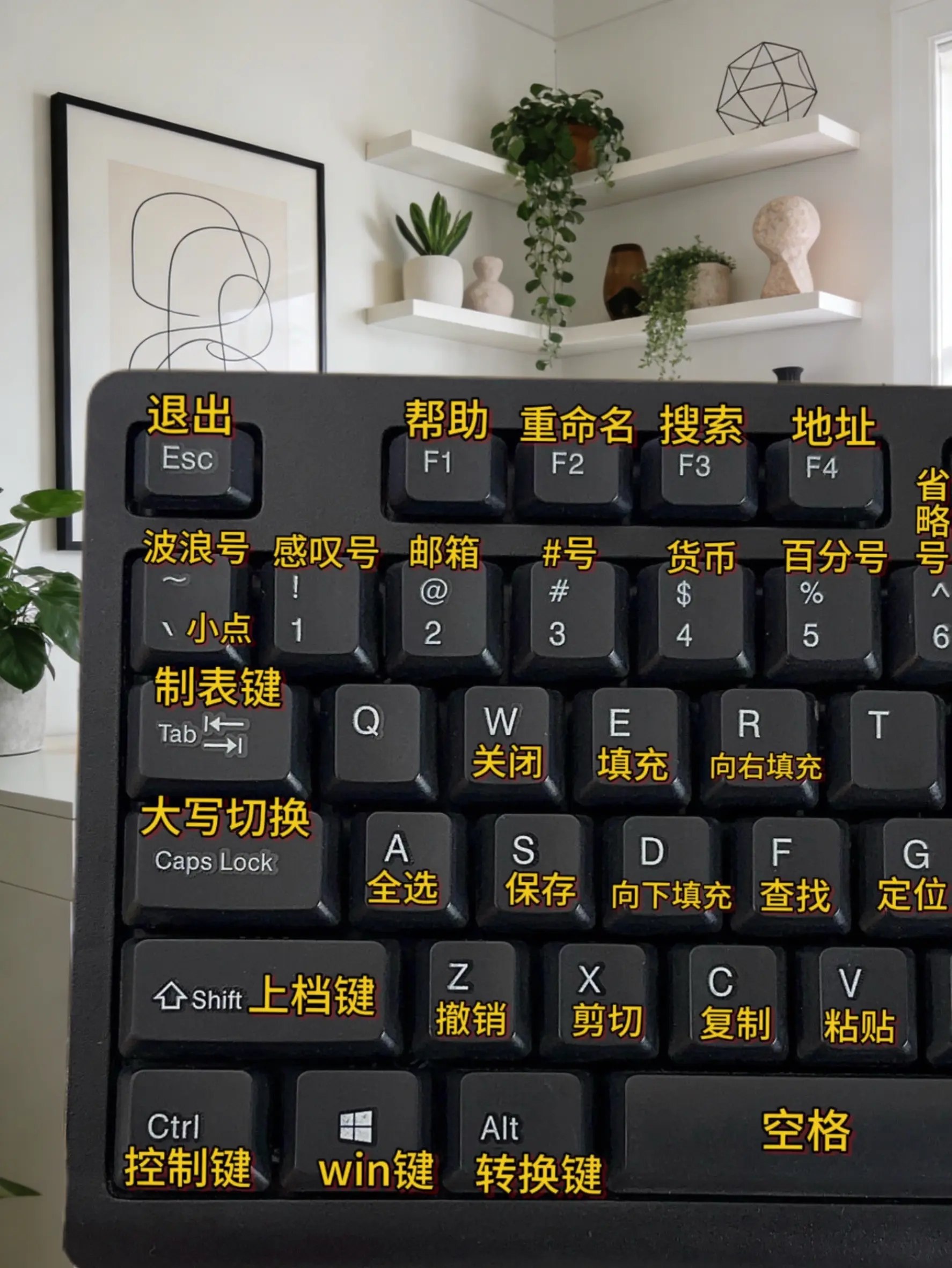 WPS零基础入门教程-书籍-学习资料-电子书夸克网盘资源分享