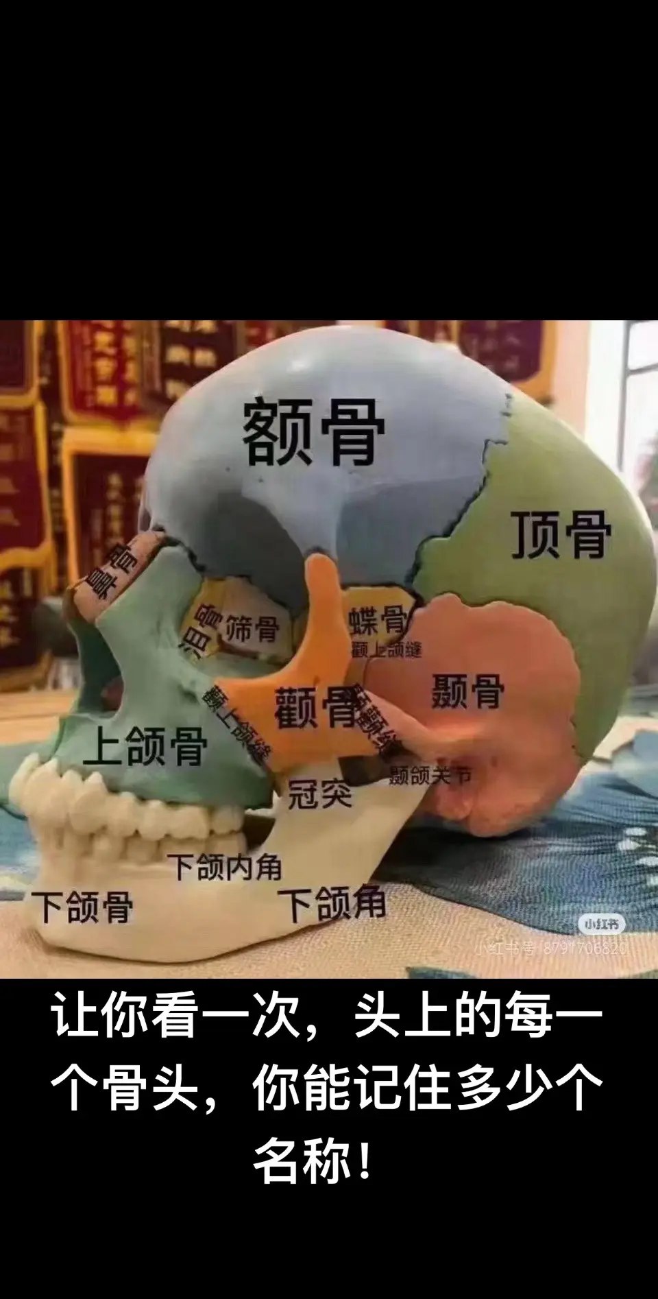 思维导图集训-6小时找到适合你的高效学习法-书籍-学习资料-电子书夸克网盘资源分享