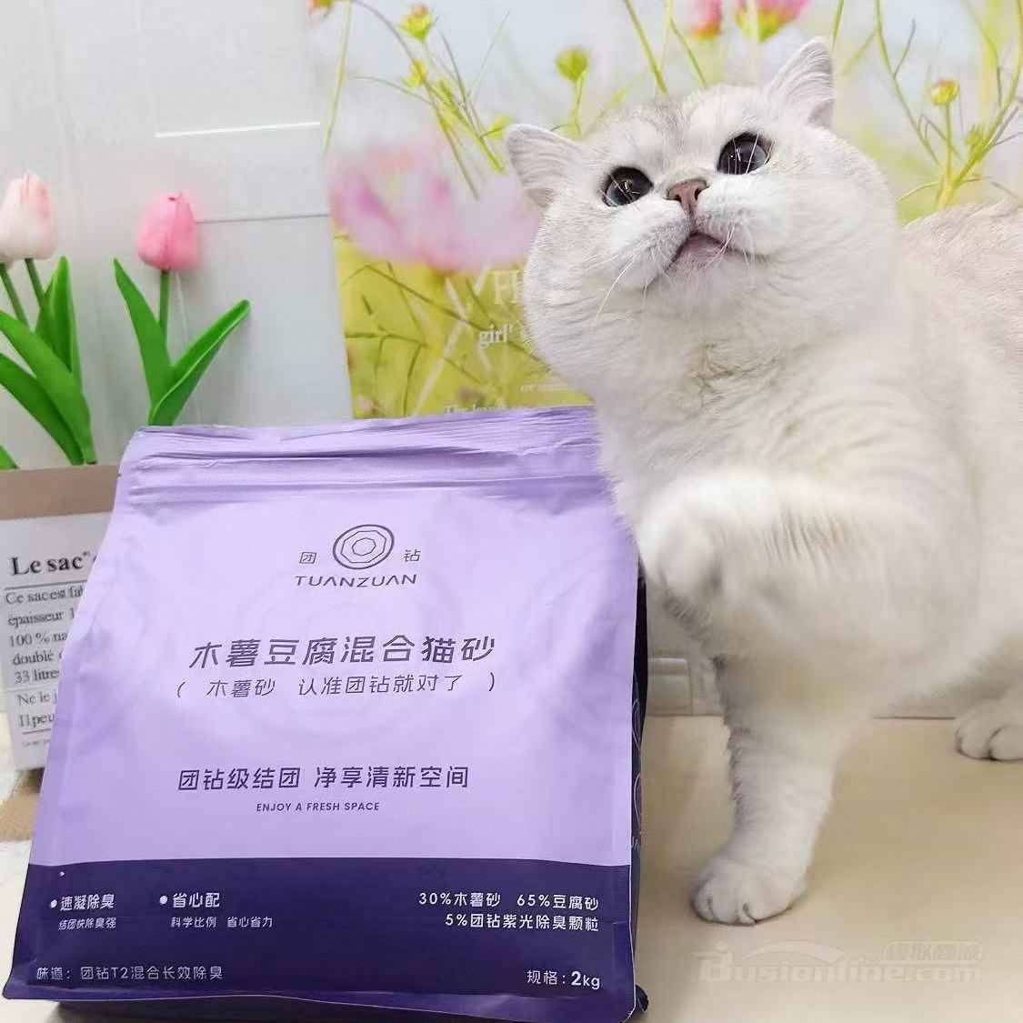 平说古文：中小学文言文精讲-书籍-学习资料-电子书夸克网盘资源分享