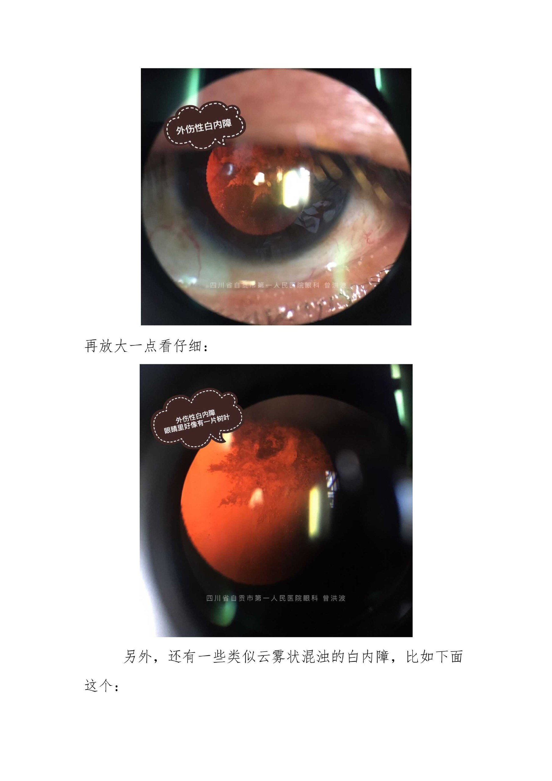 方剂学-浙江中医药大学连建伟（62讲完整版）-书籍-学习资料-电子书夸克网盘资源分享