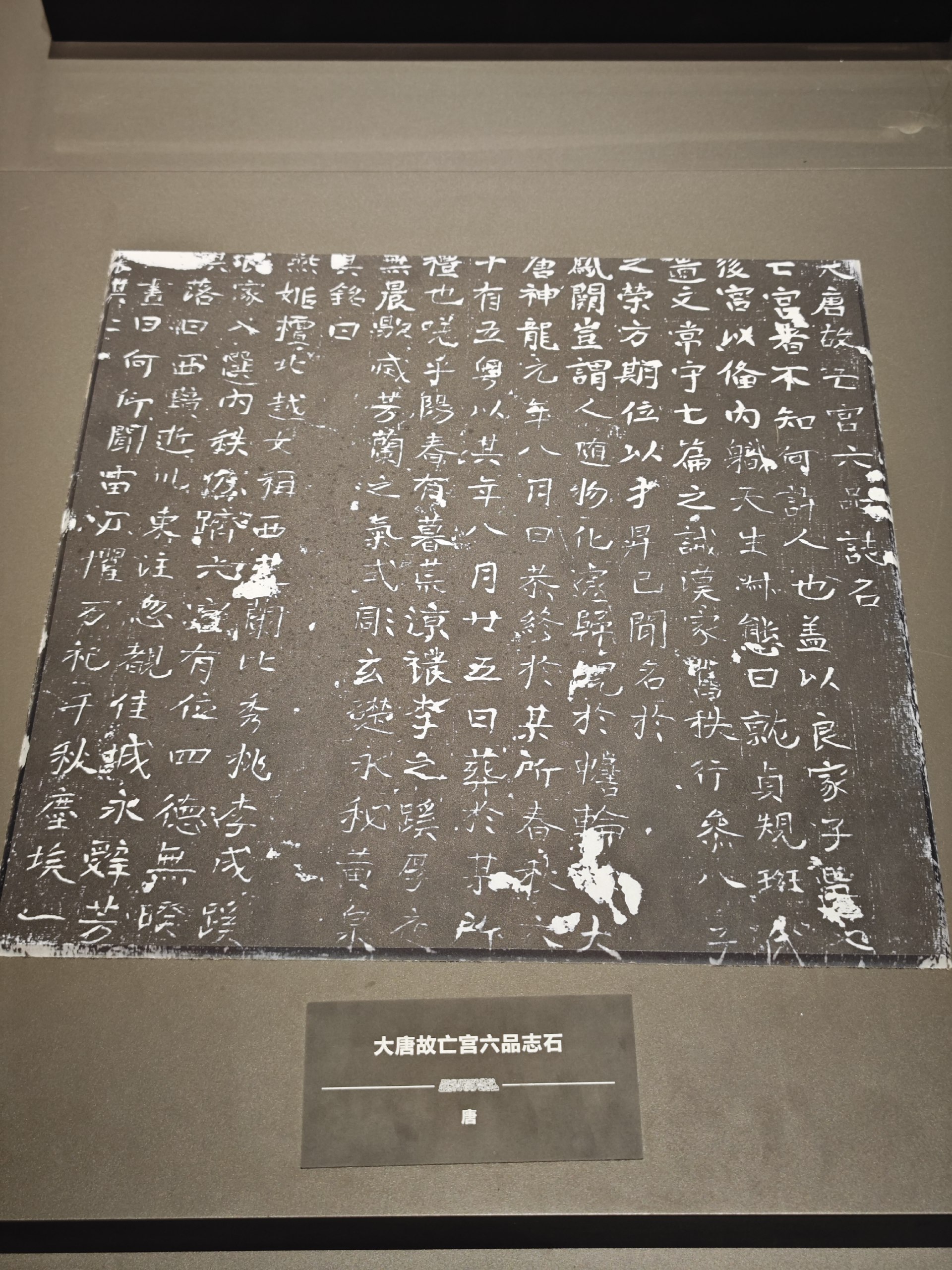 冬牧场有声书-书籍-学习资料-电子书夸克网盘资源分享