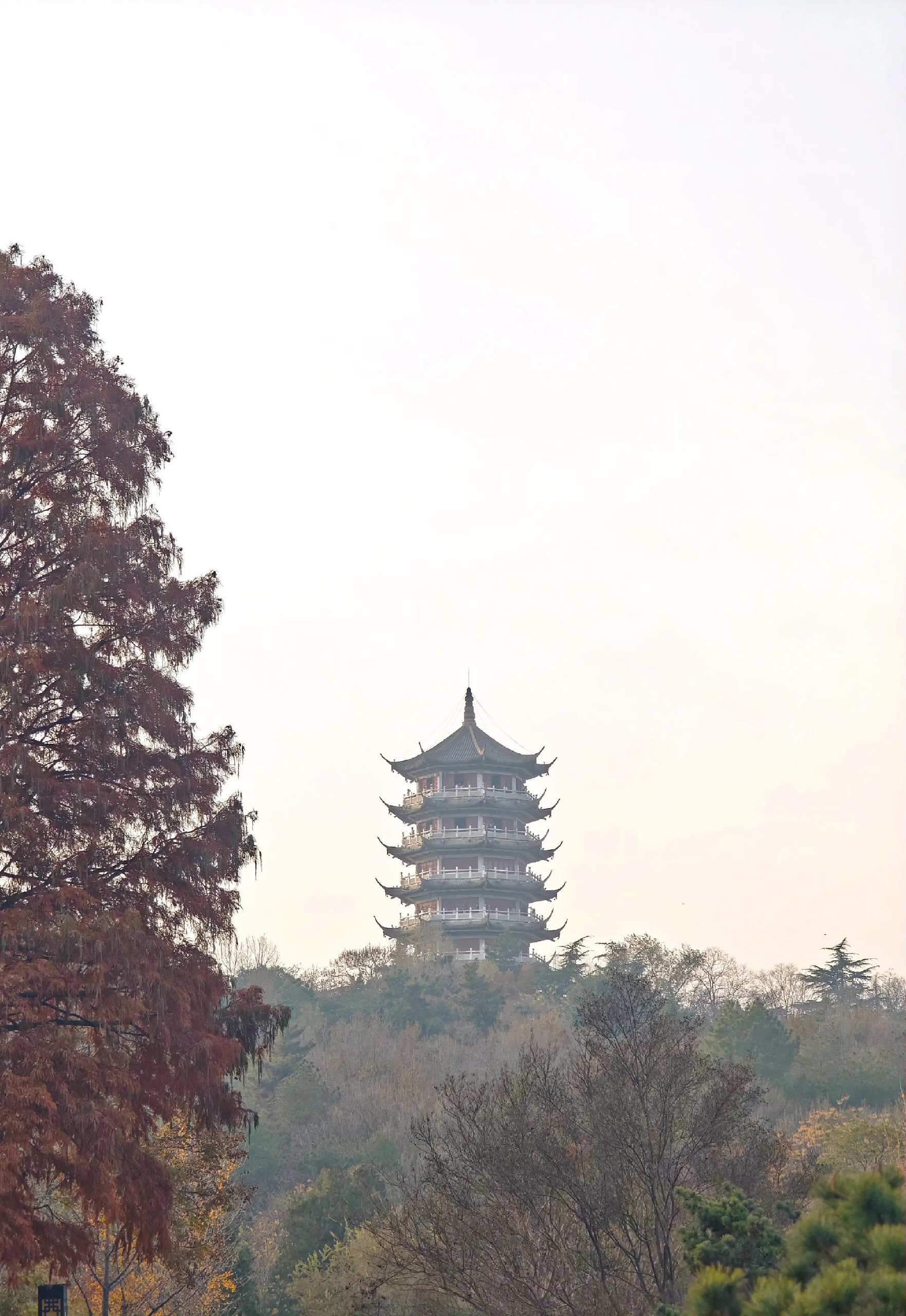 快乐书单：无限人生书单第三季-书籍-学习资料-电子书夸克网盘资源分享