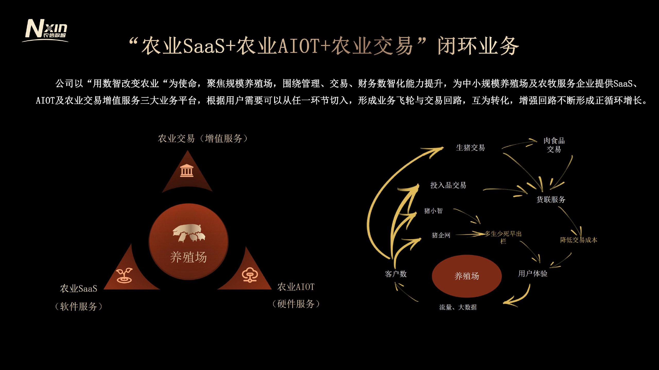 2025年中国市级政府财政透明度研究报告-清华-书籍-学习资料-电子书夸克网盘资源分享