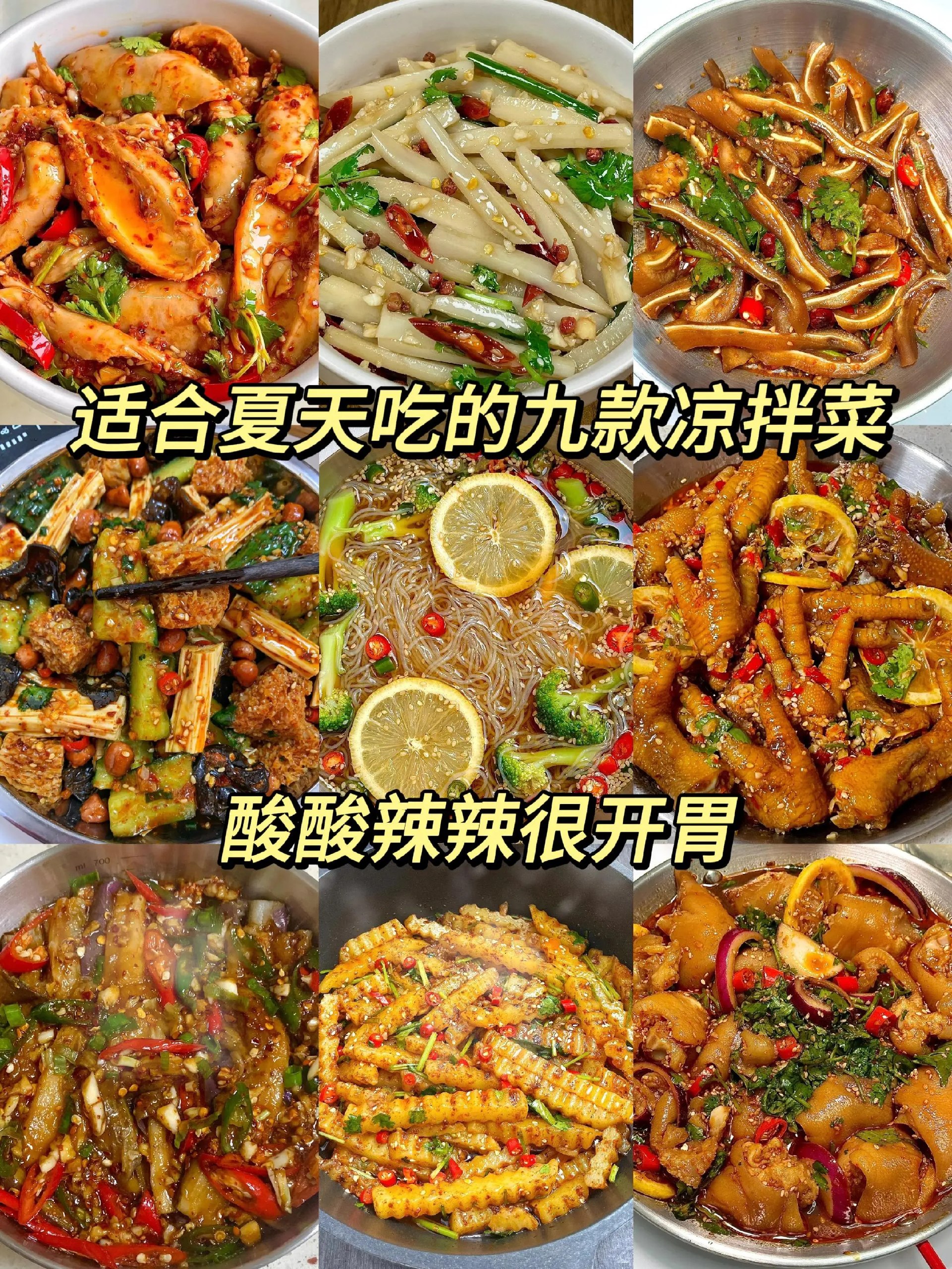 86道菜谱 烹饪指南-书籍-学习资料-电子书夸克网盘资源分享